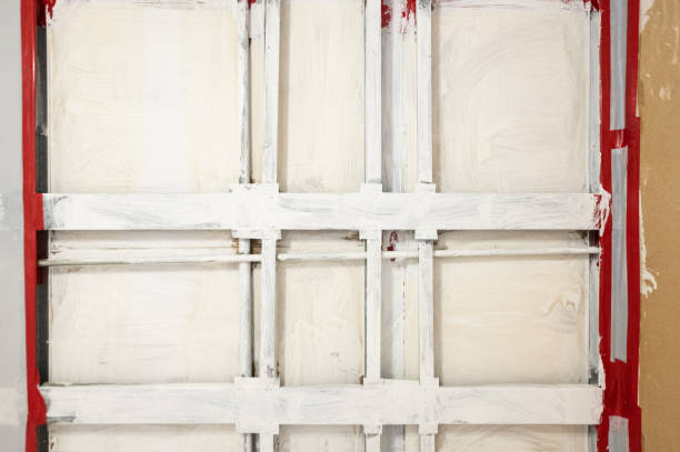Best Asbestos and Lead Testing During Mold Inspection  in Ragland, AL